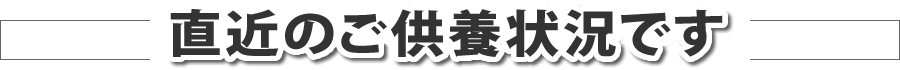 直近のご供養状況です